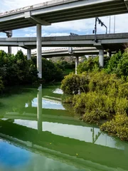 Reflections of cantilevered roading infrastructure above natural vegetation in Oakley Creek and inlet in Waterview Reserve. © Brian Scantlebury