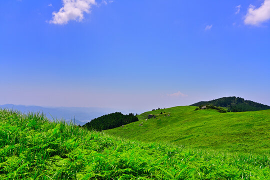 和歌山県紀美野町の生石ヶ峰の生石高原