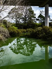 Reflections of cantilevered roading infrastructure above natural vegetation in Oakley Creek and inlet in Waterview Reserve. © Brian Scantlebury