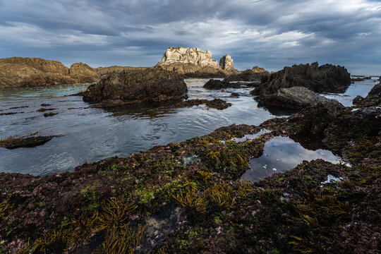 Rocky Asturian coast at low tide under Dramatic clouds