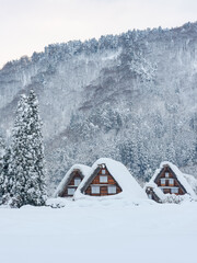 岐阜_積雪する白川郷合掌集落の風景 © BSJ