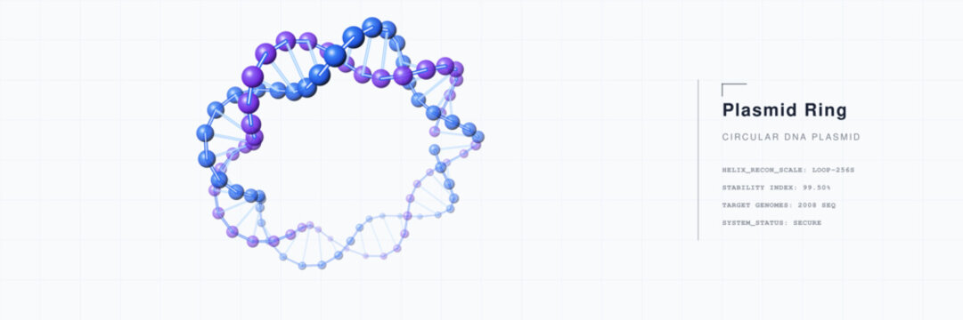 Circular DNA plasmid double helix ring made of blue and purple spheres, representing biotechnology research and molecular genetic engineering