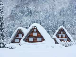岐阜_積雪する白川郷合掌集落の風景 © BSJ