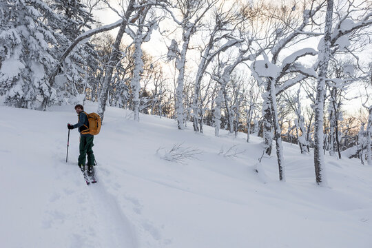 Man splitboarding uphill through snowy forest in Hokkaido, Japan