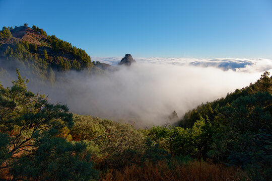 Spectacular sea of ​​clouds embracing the volcanic peaks and pine forest of Gran Canaria