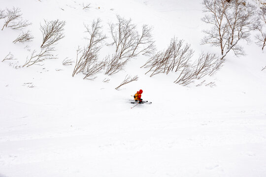 Skier carving through deep Japan powder on winter tour