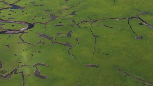 Narrow channels meander through a beautiful salt marsh
in Pleasant Bay, Cape Cod. Marshes provide critical habitat for many birds, fish, and marine invertebrates to feed, mate, and nest.