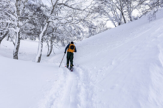 Splitboard touring in Japan through deep powder snow