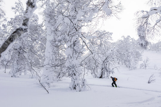Splitboard touring in Japan through deep powder snow
