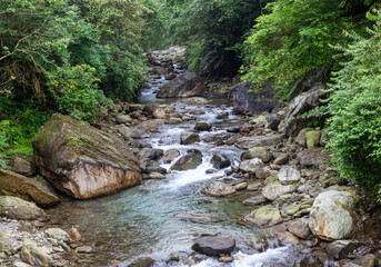 Rocky river flows through lush green forest in Taiwan's East Coast. Clear water cascades over stones and boulders. Dense foliage surrounds the serene, natural landscape near Hualien. © Eugene Ga