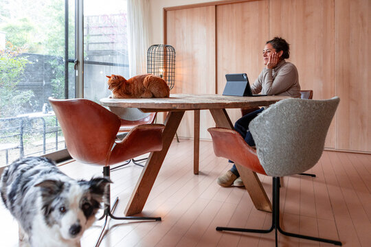 Woman working from home with cat and dog in modern room