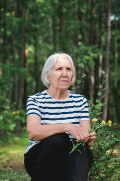 Senior woman resting in forest clearing with wildflowers