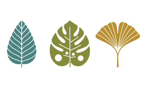 Set of three minimalist botanical leaf icons with clean monoline shapes and unique vein patterns arranged in a row on a white background organic design concept