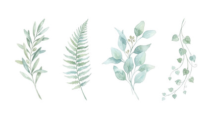 Fototapeta premium Watercolor collection of green foliage leaf branches and ferns as isolated on transparent background