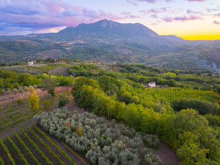 Obraz premium Aerial Drone View of Irpinia Vineyard at Sunset, Italy
