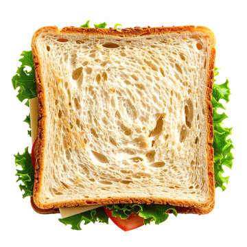 Fresh vegetable sandwich with lettuce cheese and tomato slice made with toasted wheat bread viewed from directly above&nbsp;
