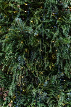 Evergreen garland with warm fairy lights for Christmas decor
