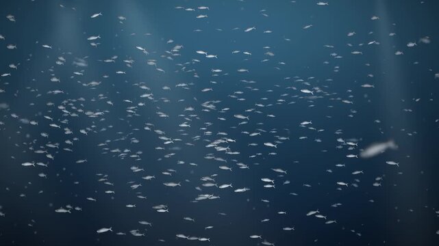 Silver Fish School Swirling Underwater in Light Rays Seamless Loop in bright navy tones