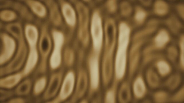Abstract wave interference moire fringe ripple background seamless loop in bright amber tones