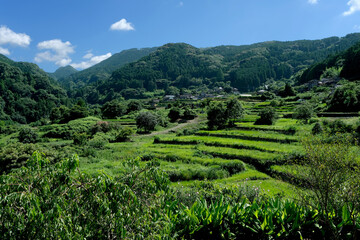 緑に覆われた里山風景 © 正行 北島