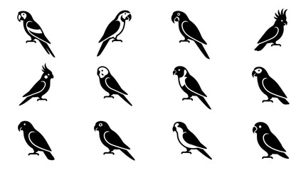 Collection of twelve black parrot silhouettes and exotic bird icons isolated on white background. © sari
