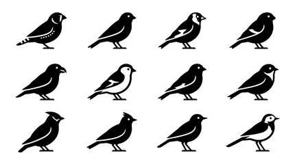 Collection of Twelve Minimalist Black Bird Silhouettes on White Background. © sari
