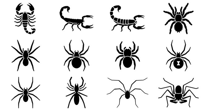 Set of twelve black silhouettes of various spiders and scorpions icons on white background.