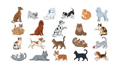 Fototapeta premium Cute cartoon cats and dogs vector collection featuring different domestic pet breeds isolated on white background for children design
