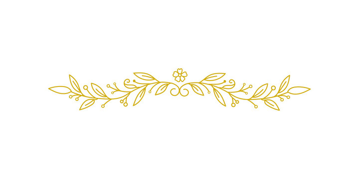 Elegant golden floral divider isolated on transparent background