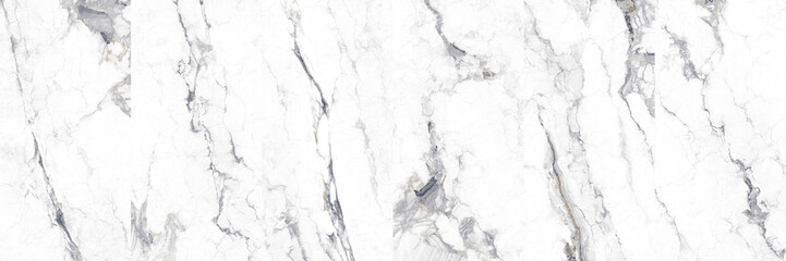 Naklejka premium White Marble Texture with Bold Natural Veins