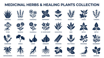 Medicinal Herbs and Healing Plants Collection Icons © momon