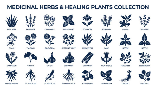Medicinal Herbs and Healing Plants Collection Icons