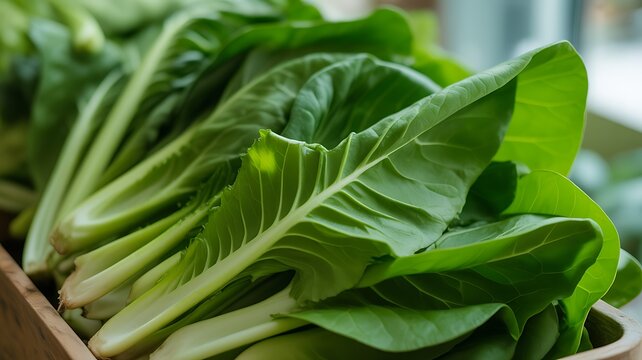 Close up of fresh green leafy vegetables, conceptually illustrating agricultural food safety warnings, grocery recalls, and cyclospora outbreaks.