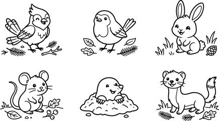 Cute forest woodland animals coloring page set with cartoon blue jay robin bird rabbit mouse mole weasel for kids vector