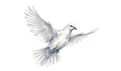 Fototapeta premium Dove, watercolor illustration vector, isolated on a white background.