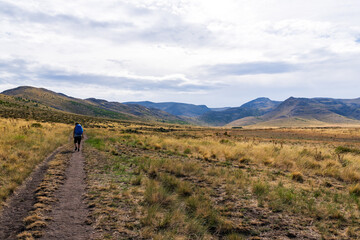 Fototapeta premium Hiker in the distance hiking through argentine paja grassland