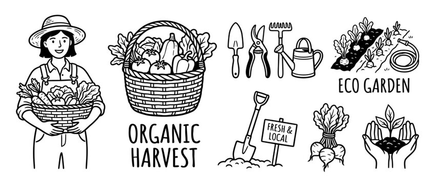Gardening and Organic Harvest Collection