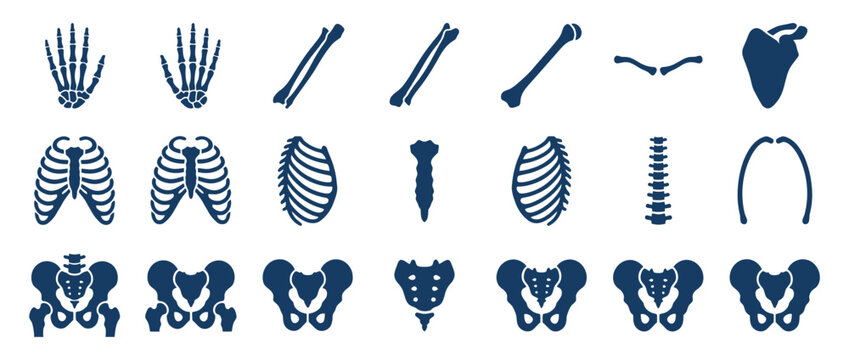 Set of human skeletal system parts icons