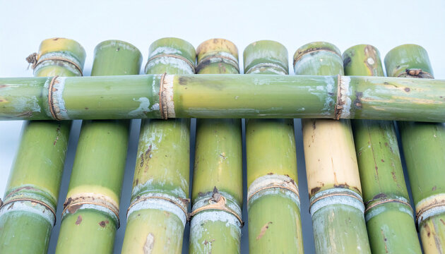 Close up group of sugarcane that has been cut for delivery to the processing plant