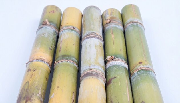 Close up group of sugarcane that has been cut for delivery to the processing plant