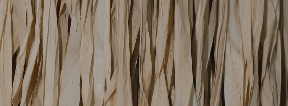 Natural raffia fringe texture background closeup, tropical straw skirt material for craft and design