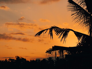Tropical sunset silhouette with palm tree fronds against a vibrant orange sky for travel and nature themes © SimpleDesignStudio
