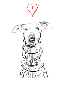 Minimalist Line Art Drawing of a Grey hound in a Turtleneck Sweater