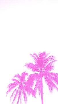 silhouette of pink palm trees with white background