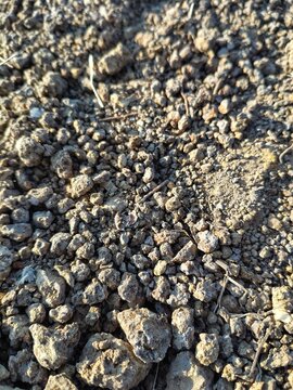 Detailed texture of natural gray rock and gravel surface