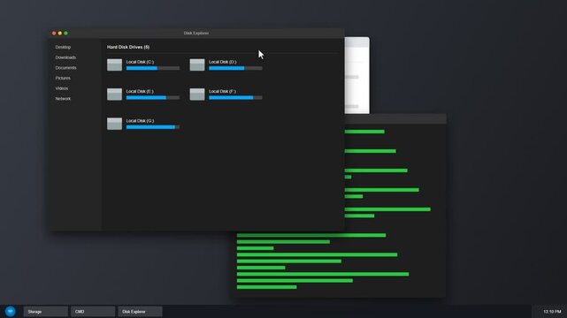 Computer storage management interface showing local disk usage status