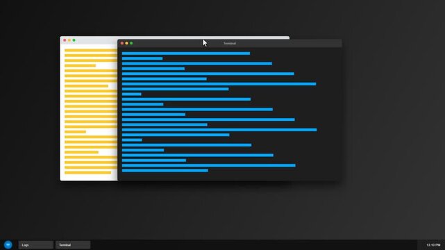Terminal command line interface software window