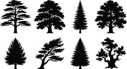 Fototapeta premium Tree Silhouette Vector Collection Featuring Pine Oak Cedar and Bonsai Trees Isolated for Nature Landscape Design