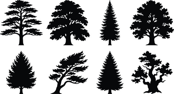 Tree Silhouette Vector Collection Featuring Pine Oak Cedar and Bonsai Trees Isolated for Nature Landscape Design