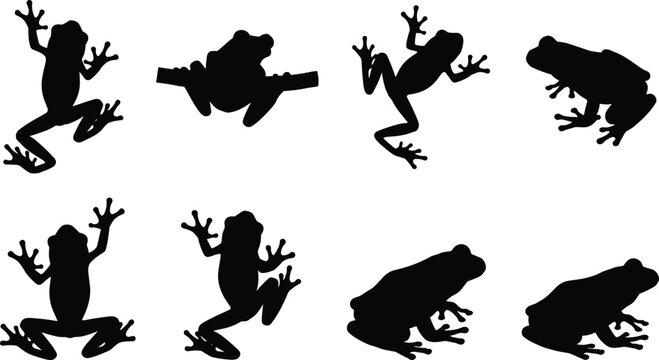 Tree Frog Silhouette Vector Collection with Climbing, Sitting and Resting Amphibian Poses for Wildlife Nature Design